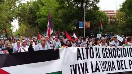 "Desde el río hasta el mar, Palestina vencerá", cantan en Madrid