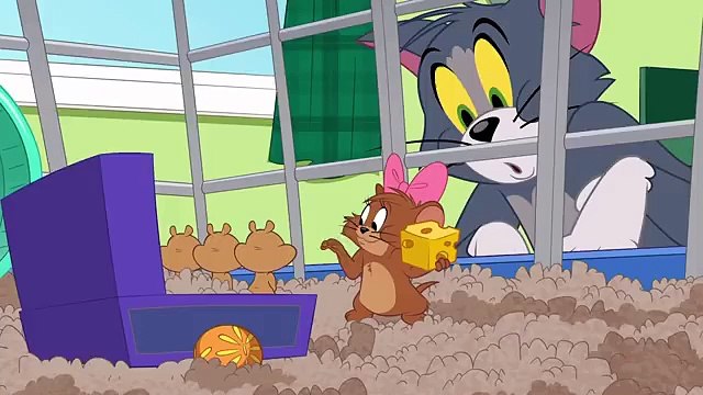 Tom and Jerry Hamster Havoc (10,000 Pups)