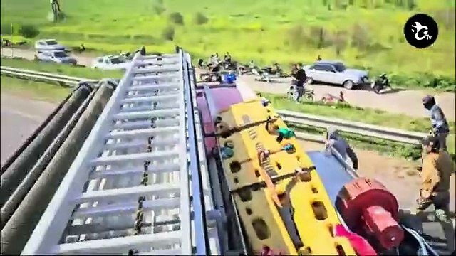 Video impactante: volcó un camión jaula en San Pedro y vecinos carnearon las vacas en plena ruta 9