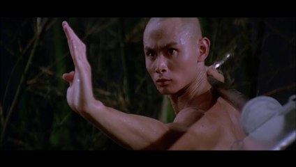 Lee Hoi-sang vs Gordon Liu in The 36th Chamber of Shaolin (1978)