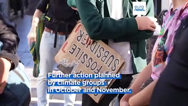 Greta Thunberg detained at fossil fuel subsidy protest in Brussels