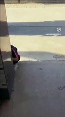 Don’t do that bro