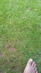 Most beautiful place for Morning Walk and exercise