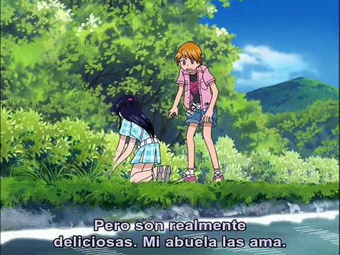 [Sub Esp] Futari wa Pretty Cure Max Heart - episodio 18