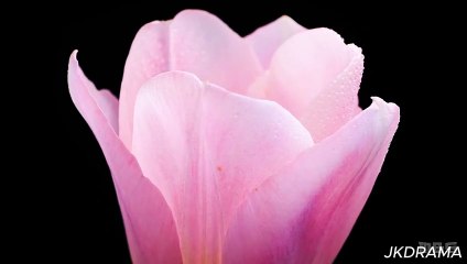 Kanpeki Wife ni Yoru Kanpeki na Fukushu Keikaku - Episode 8 End - Eng Sub