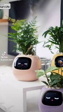 Smart Planter with 7 smart sensors and AI Magic !