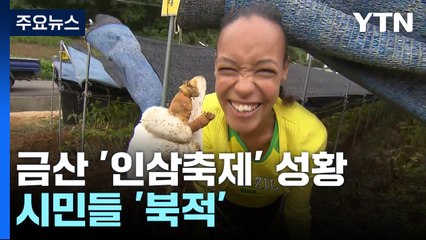 '심 봤다!' 몸도 마음도 건강한 금산 인삼축제 / YTN