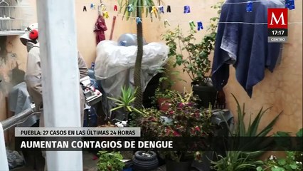 Aumento de contagios de dengue en Puebla y Coahuila