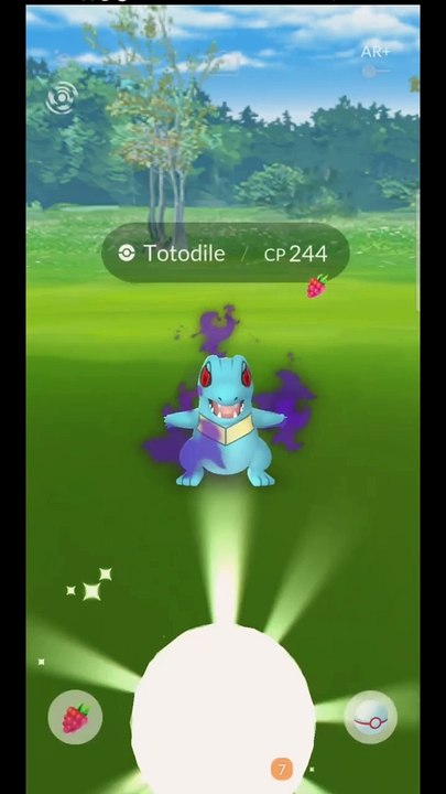 Pokémon GO-Shadow Totodile