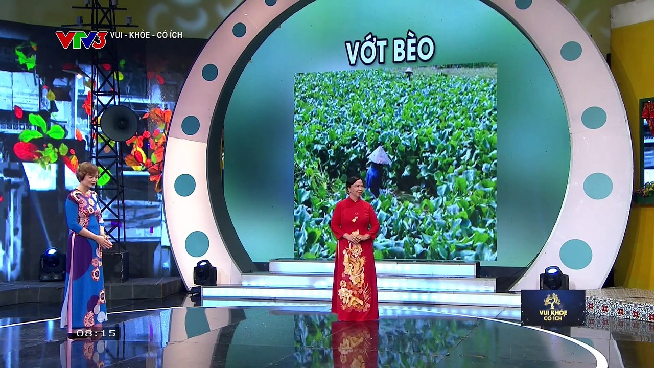 VTV3 - Vui khỏe có ích (Tuổi vàng) - Tập 85 (05_10_2024)(1080P_HD)