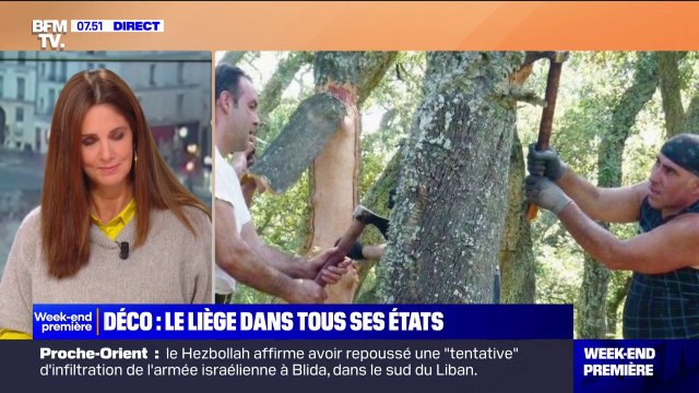 En sac à dos, en revêtement ou en lampe de chevet, le liège est partout