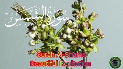 Surah Al Shams Beautiful Recitation