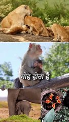 परिवार का सच || आचार्य प्रशांत