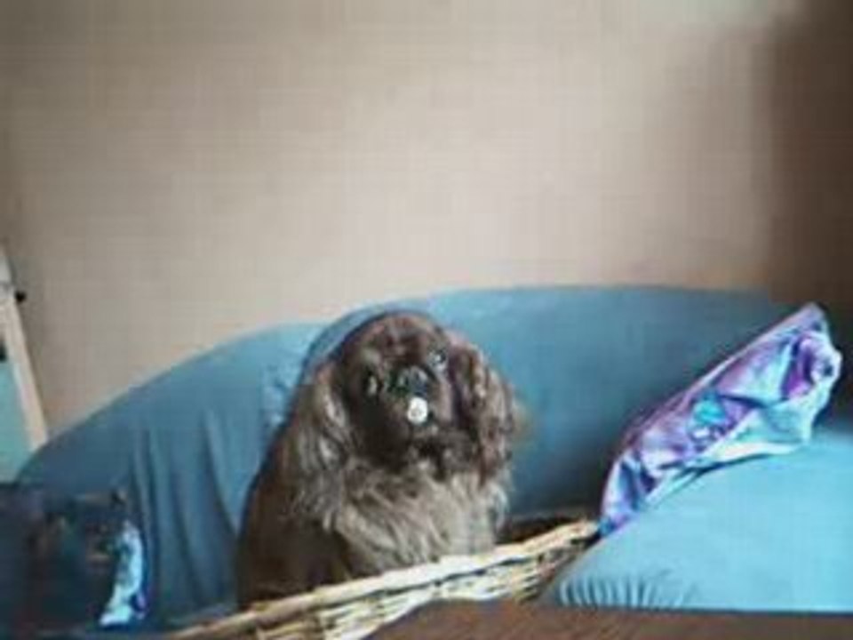 Video 1