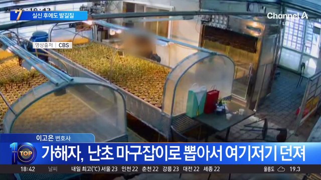 ‘잔혹 폭행’ 당한 난원 주인…실신 후에도 발길질