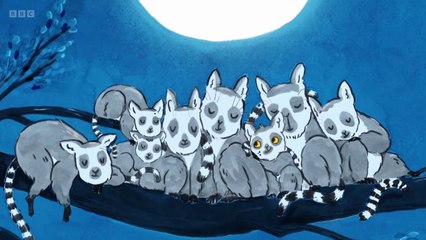 What Makes a Lemur Listen  -  Scott Mills