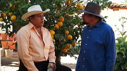 Ver LOS ENVIDIOSOS Película completa en Español