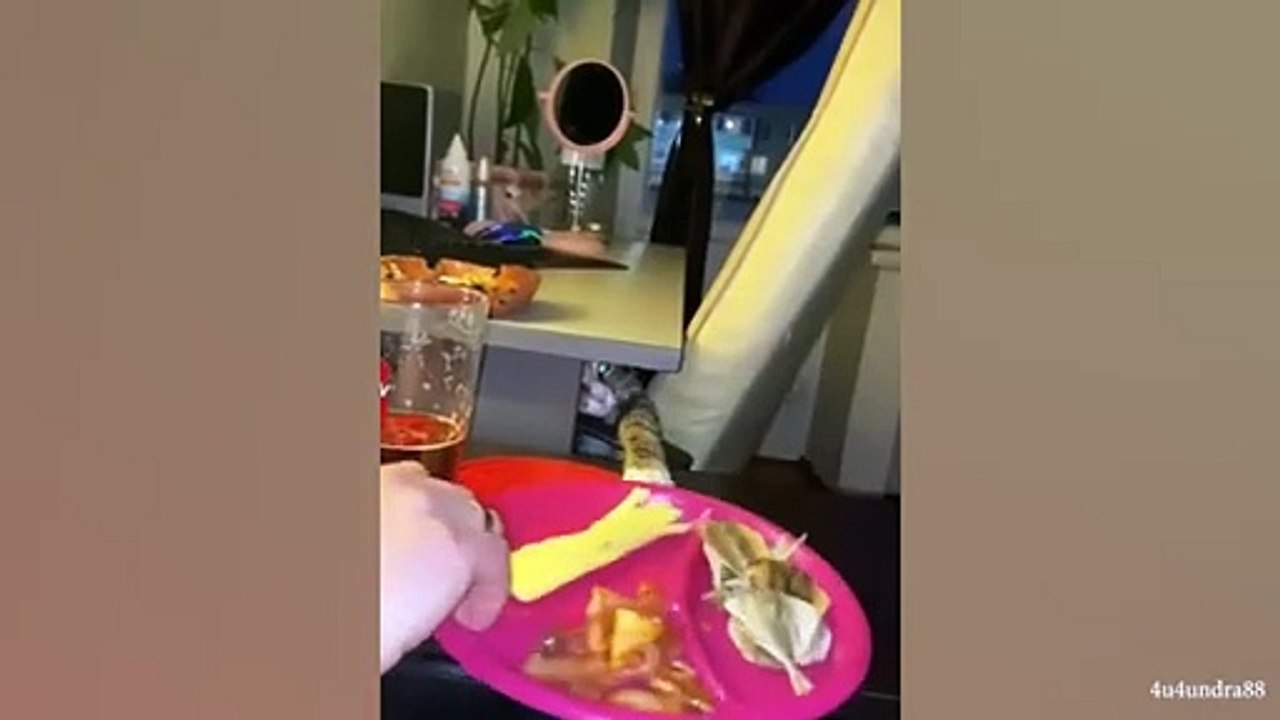 The_Most_DRAMATIC_CATS_moments_ever!__Funny_Cat_Videos_2024(360p)