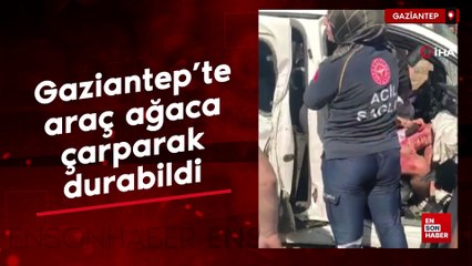 Gaziantep'te kontrolden çıkan araç ağaca çarparak durabildi