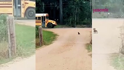 Küçük çocuğun dede seçimi aile fertlerini güldürdü!