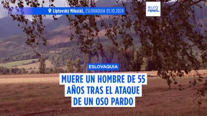 Un oso ataca y mata a un hombre de 55 años en un bosque de Eslovaquia