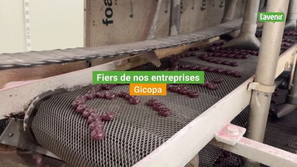 Fiers de nos entreprises: Gicopa