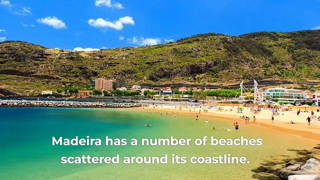 Madeira Island Vacation Travel Guide - Things To Do In Madeira Island - Trip Advisor & Booking