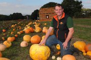 Pumpkin pickers in Leeds get into the Halloween spirit at Kemps Farm in Horsforth