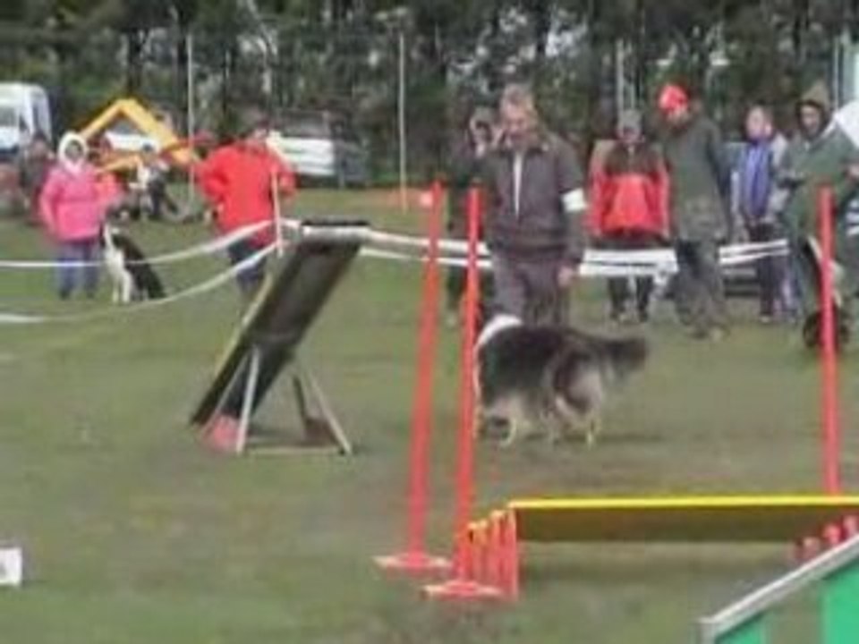 Vive One au 1er degré