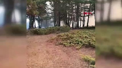 SİVAS\'ta orman yangını (VİDEO EKLENDİ)