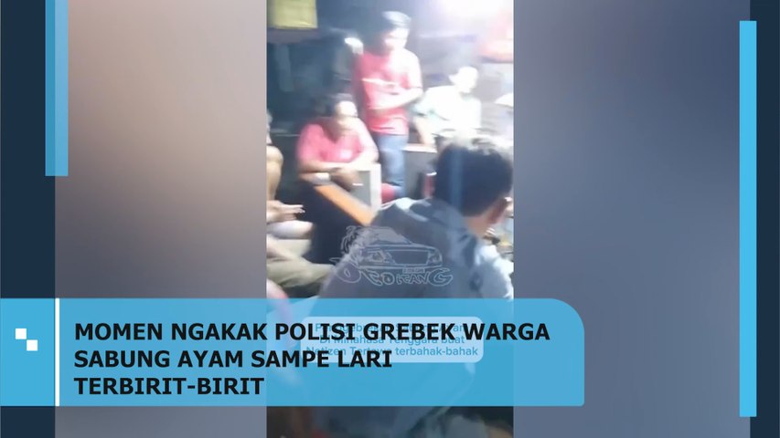 Momen Ngakak Grebeg Warga Sabung Ayam Sampai Lari Terbirit-birit