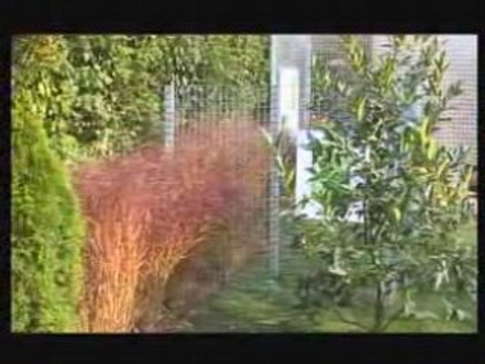 Paysagiste, aménagement extérieur : créer un jardin contemporain, aménager un jardin urbain, jardin en kit, paysagiste designer.