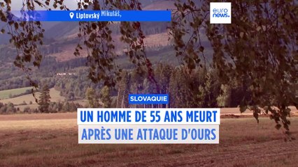 Slovaquie : un homme de 55 ans meurt après une attaque d'ours