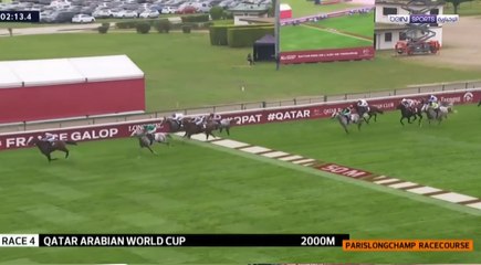 الجواد الغدير يفوز بجائزة قطر كأس العالم للخيول العربية الأصيلة