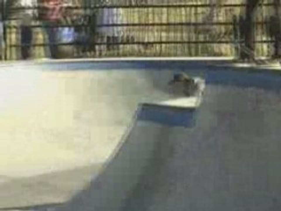Ridin The SK8r Park