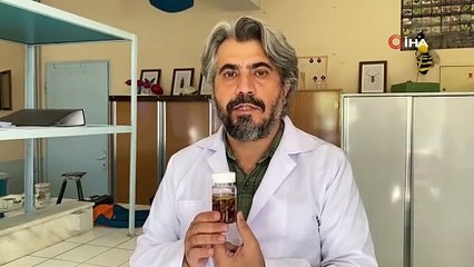 Türkiye'de yeni bir akrep cinsi bulundu: Eşinin adını verdi
