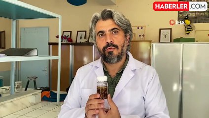 Konya'da Yeni Akrep Türü Keşfedildi
