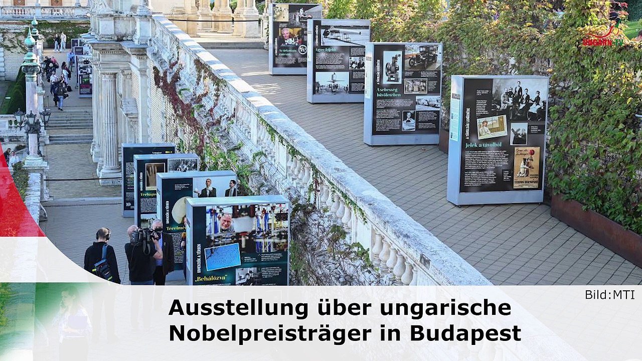 Kurznachrichten aus Ungarn am 09.10.2024