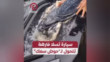 سيارة تسلا فارهة تتحول لـ "حوض سمك"