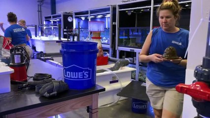 NO COMMENT: Florida en estado de emergencia ante el paso del huracán Milton