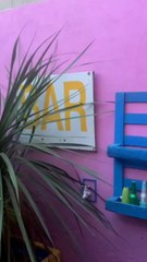 Les Anecdotes du Rock - Cheikha Rimitti…