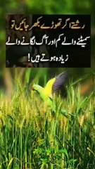 Bhai baat sacchi hai ki Nahin
