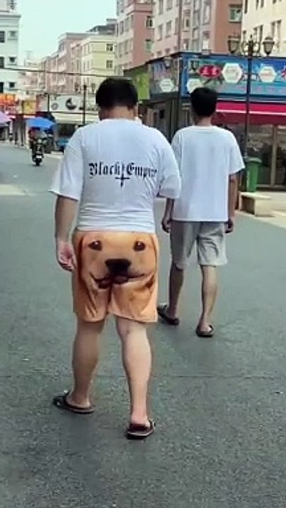 Did you laugh today? || #funny video #funny #