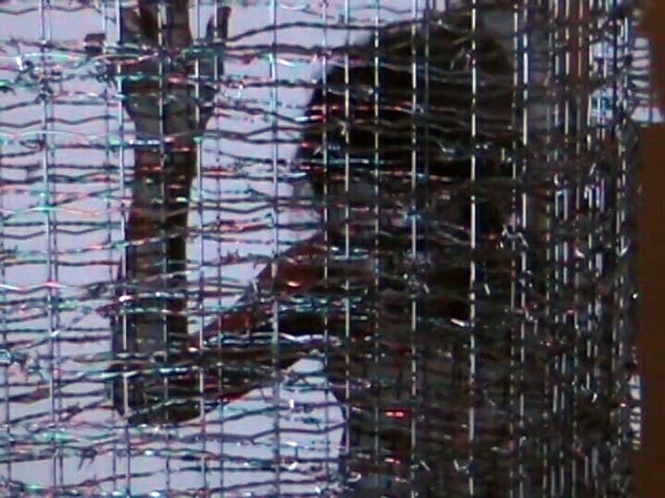 Art Exhibition: "Blue P08-1" (2012) José Tannuri, Thiago Toniatto, Elen Nas/ Rio de Janeiro