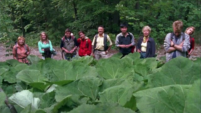 Die Rosenheim-Cops (100) Staffel 7 Folge 4 - Der Untergang von Rosenheim
