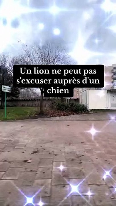 Un lion ne peut pas s'excuser auprès d'un chien