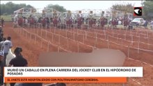 Un caballo se desplomó y murió en plena carrera del Jockey Club en el Hipódromo de Posadas
