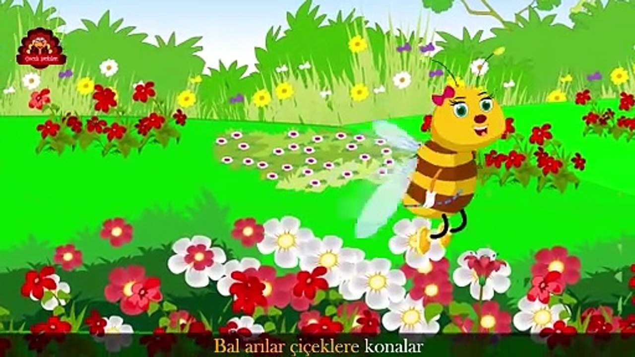 Uç uç böceğim - Yeni Çizgi Film Bebek Şarkıları - Çocuk Şarkısı Bir Arada