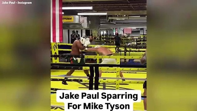 Jake Paul hace sonar las alarmas con un vídeo de entrenamiento