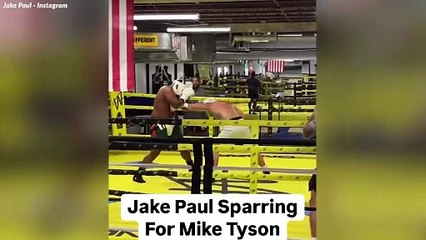 Jake Paul hace sonar las alarmas con un vídeo de entrenamiento